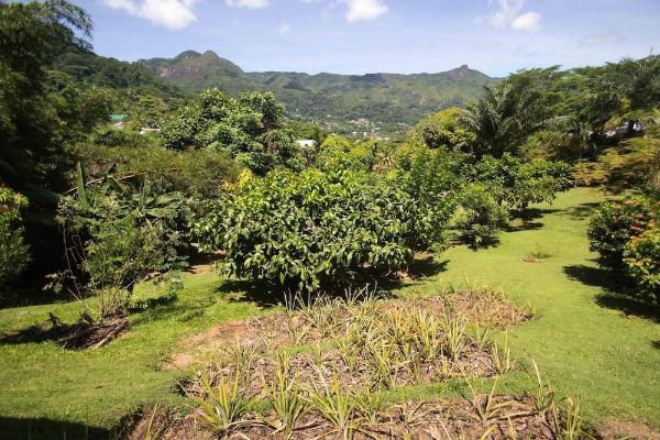 Lemongrass Lodge (Beau Vallon)